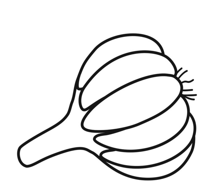 dojrzały czosnek kolorowanka do drukowania