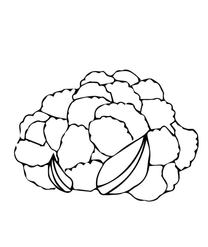 dojrzały kalafior kolorowanka do drukowania
