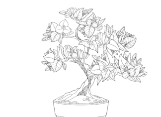 Drzewko szczęścia Bonsai drzewko szczęscia bonsai kolorowanka do drukowania