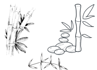 Drzewo bambus drzewo bambus kolorowanka do drukowania