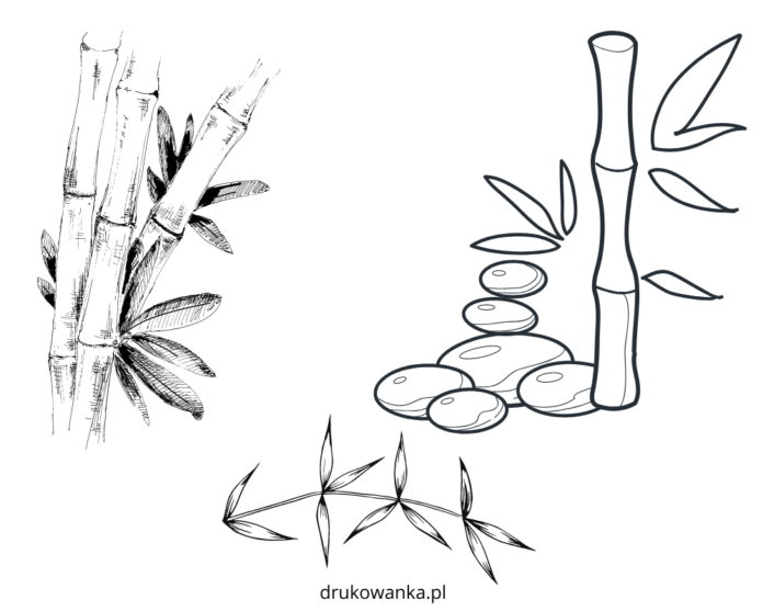 drzewo bambus kolorowanka do drukowania
