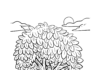 Drzewo liściaste drzewo liściaste kolorowanka do drukowania