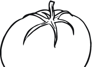 Duży pomidor duży pomidor kolorowanka do drukowania
