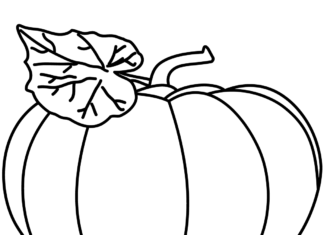 Dynia z liściem dynia z liściem kolorowanka do drukowania