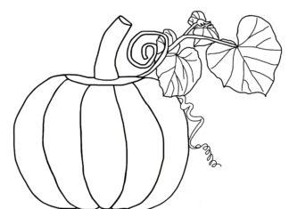 Dynia z pędem dynia z pędem kolorowanka do drukowania