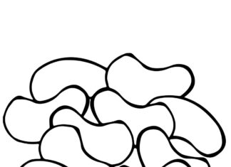 Fasola nerkowa fasola nerkowa kolorowanka do drukowania