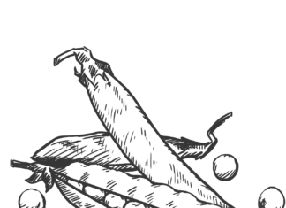 fasola szparagowa kolorowanka do drukowania