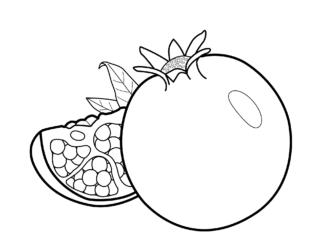 Owoc granatu Owoc granatu obrazek do drukowania