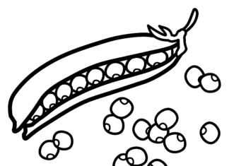 groch kolorowanka do drukowania