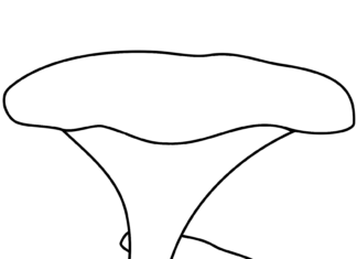 grzyb kurka kolorowanka do drukowania