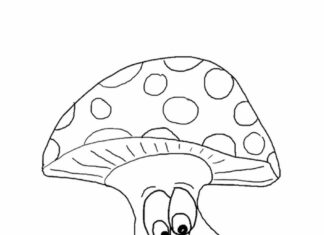 grzyb muchomor kolorowanka do drukowania