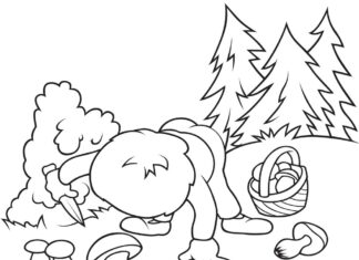 grzybobranie kolorowanka do drukowania