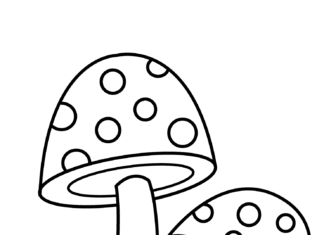 grzyby trujące kolorowanka do drukowania