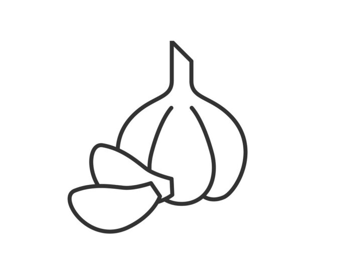 główka i ząbki czosnku kolorowanka do drukowania