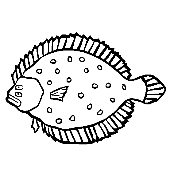 halibut pod wodą kolorowanka do drukowania