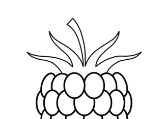 Jeżyna dla dzieci obrazek do drukowania