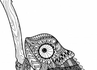 kameleon na drzewie zentangle kolorowanka do drukowania