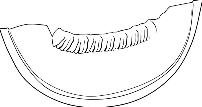 Kawałek melona obrazek do drukowania