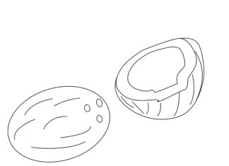 Kokos owoc obrazek do drukowania