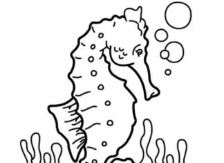 Konik morski na dnie oceanu konik morski na dnie oceanu kolorowanka do drukowania