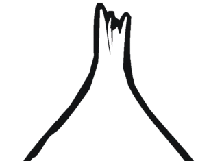 kontur cebuli obrazek do drukowania