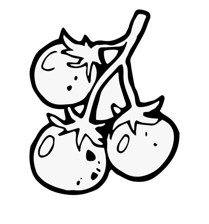 krzak pomidorów kolorowanka do drukowania