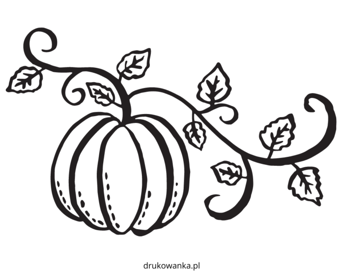 liście dyni kolorowanka do drukowania