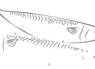 makrela połącz i pokoloruj kolorowanka do drukowania