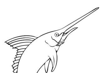 Marlin ryba marlin ryba kolorowanka do drukowania