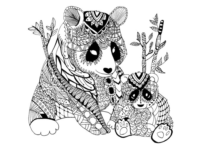 misie panda zentangle kolorowanka do drukowania