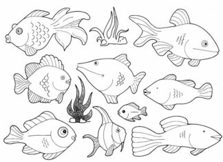 Morskie ryby morskie ryby kolorowanka do drukowania