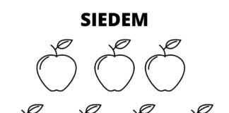 Nauka liczenia 7 nauka liczenia 7 kolorowanka do drukowania