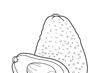 Awokado dla dzieci obrazek do drukowania