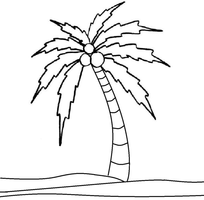Palma kokosowa obrazek do drukowania