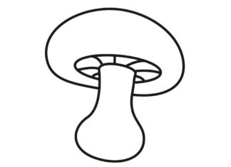 pieczarka kolorowanka do drukowania