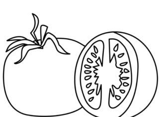 plaster pomidora kolorowanka do drukowania