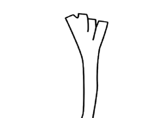 por kolorowanka do drukowania