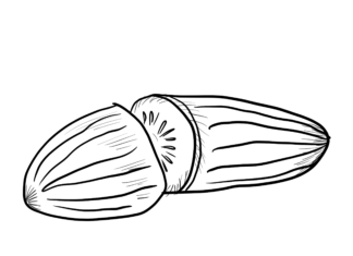 przekrojony ogórek kolorowanka do drukowania