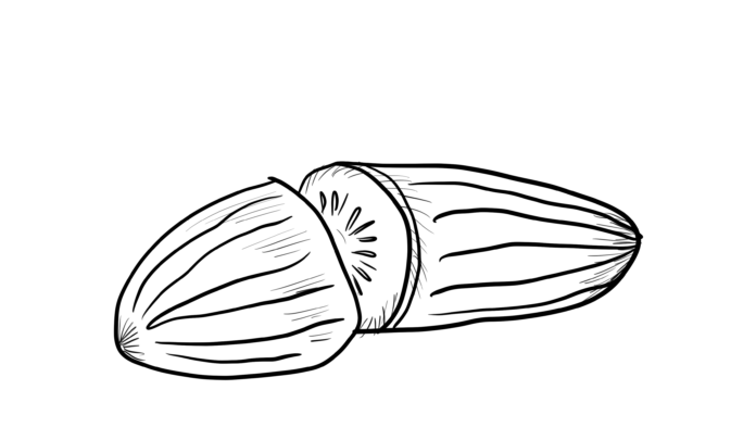 przekrojony ogórek kolorowanka do drukowania