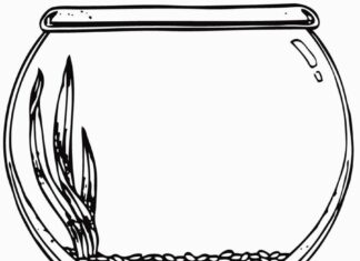 Puste akwarium puste akwarium kolorowanka do drukowania