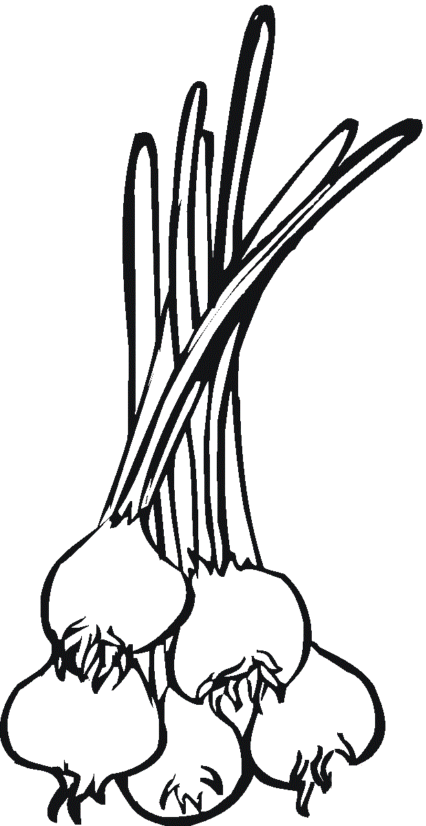 pęczek cebuli kolorowanka do drukowania