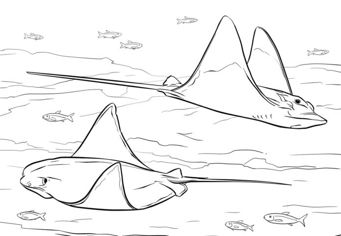 płaszczki pod wodą kolorowanka do drukowania