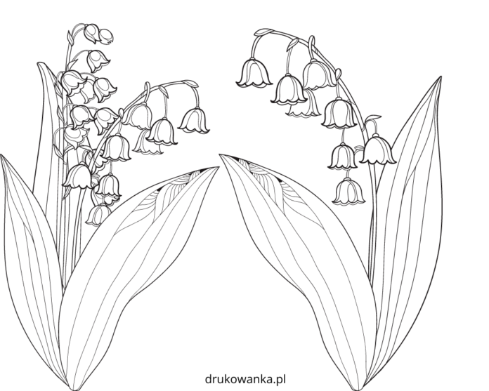 rozkwitające konwalie kolorowanka do drukowania