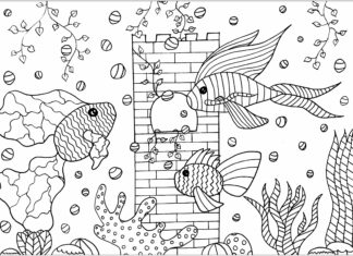 Ryby akwariowe ryby akwariowe kolorowanka do drukowania