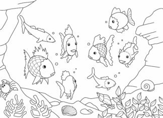 Ryby w akwarium ryby w akwarium kolorowanka do drukowania
