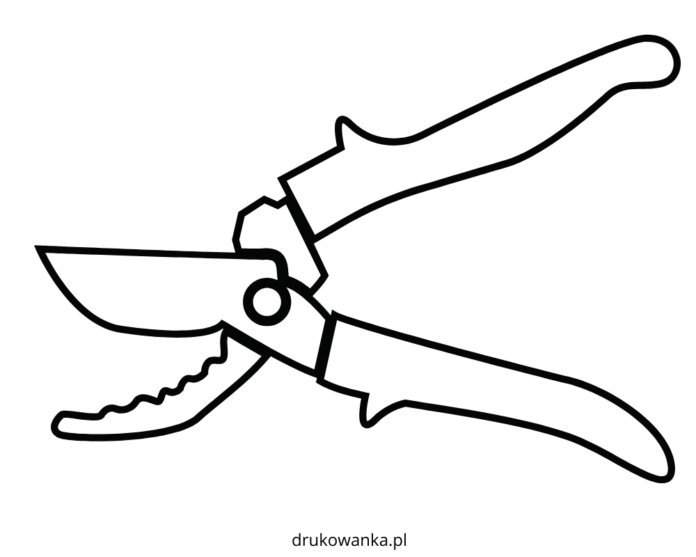 Sekator do gałęzi obrazek do drukowania