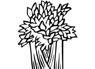 seler kolorowanka do drukowania