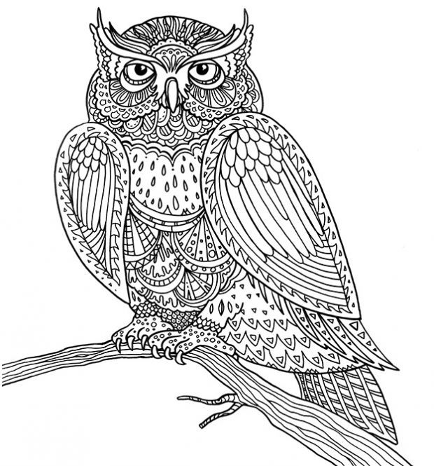 sowa japońskie wzory kolorowanka do drukowania