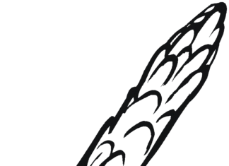 szparaga obrazek do drukowania