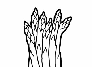 szparagi obrazek do drukowania